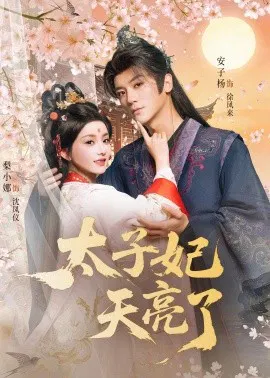 【短剧】太子妃天亮了